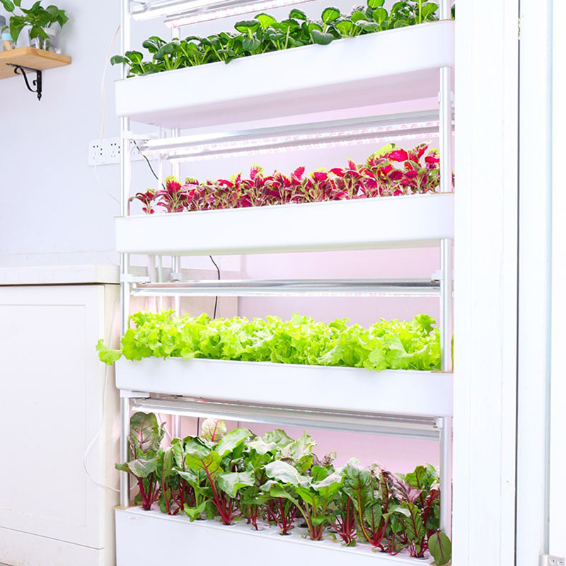 Sistema de cultivo hidropônico - Hydroponic Tower Planter avaliação e preço
